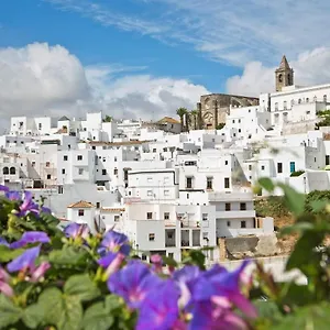 Mareva , Vejer de la Frontera España